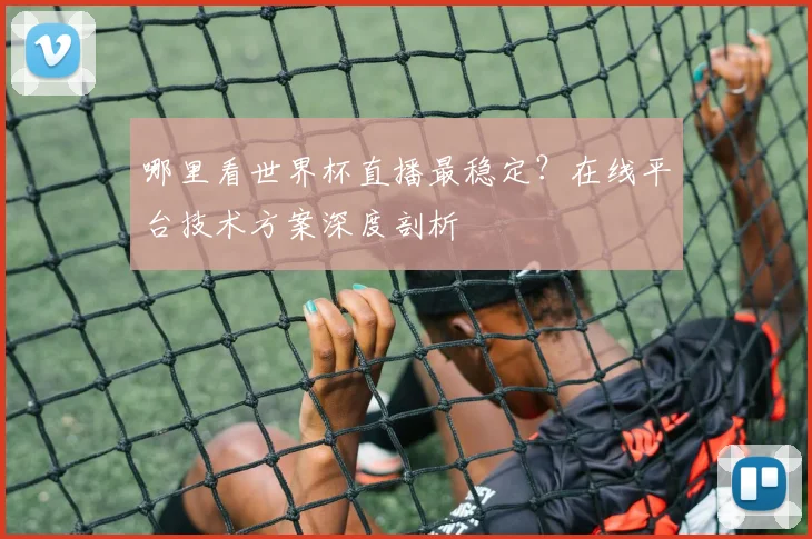 哪里看世界杯直播最稳定?在线平台技术方案深度剖析