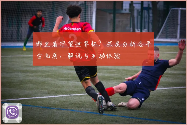 哪里看守望世界杯?深度分析各平台画质、解说与互动体验