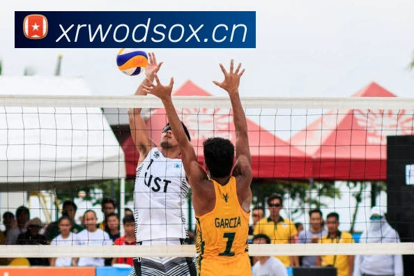 App Interface Preview